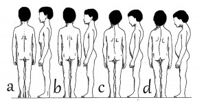 5b) Typy držení těla
