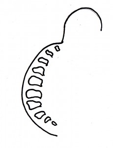 kulata-zada